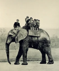 A Farewell Ride on Jumbo, de &39;The Illustrated London News&39;, 18 de março de 1882